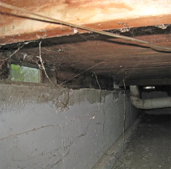 Crawlspace Water Removal in a Ventura home