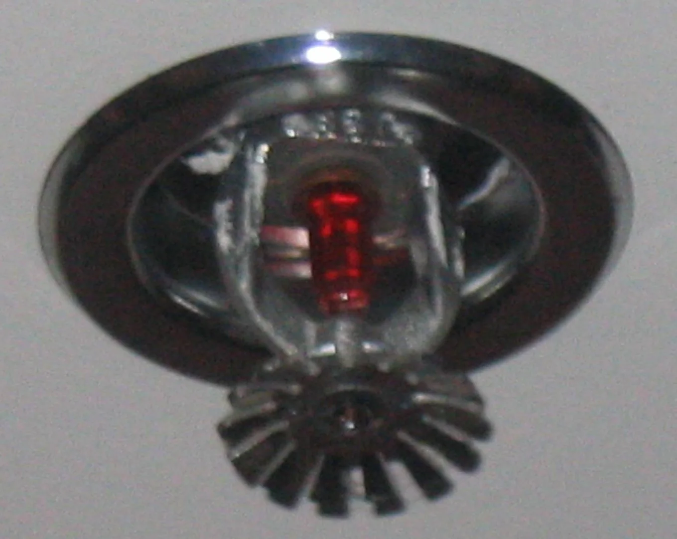 Fire Sprinkler Discharge in a Ventura home